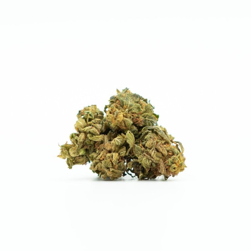 Canalogy HHC virág Amnesia Haze 20 %, 1g - 100g