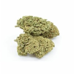 HHC Blüten Sample set - Tropical Kush 10 %, Limoncello 20 %, Gelato 30 %, Amnesia 40 % , (4x1g)