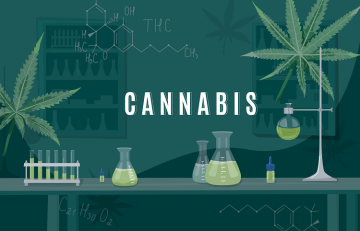 Inscription 'CANNABIS', laboratoire avec des tubes contenant du distillat HHCH et des feuilles de cannabis