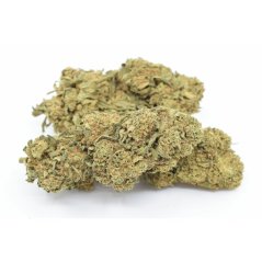 HHC Цвете Amnesia Kush 40 %, 100 г - 500 г - 1000 г