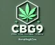 Hoja de cannabis verde intenso, texto blanco debajo: CBG9 Todo lo que necesitas saber, Horsehog&Cow