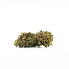 Canalogy HHC blomma Purple Queen 40 %, 1g - 100g