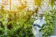Uno scienziato controlla l'analisi e i risultati dei fiori di cannabis per il CBDP