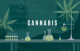  Inscripción "CANNABIS", laboratorio con tubos que contienen destilado de HHCH y hojas de cannabis.